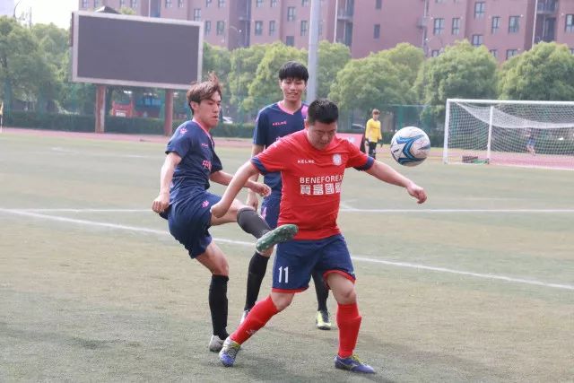 杨瀚森22+10青岛胜浙江 王哲林17分上海胜山东